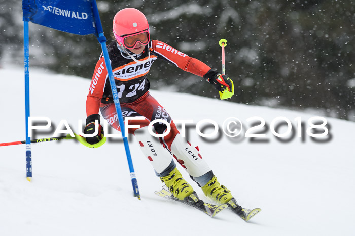 4. Ziener Cup WF, 25.02.2018