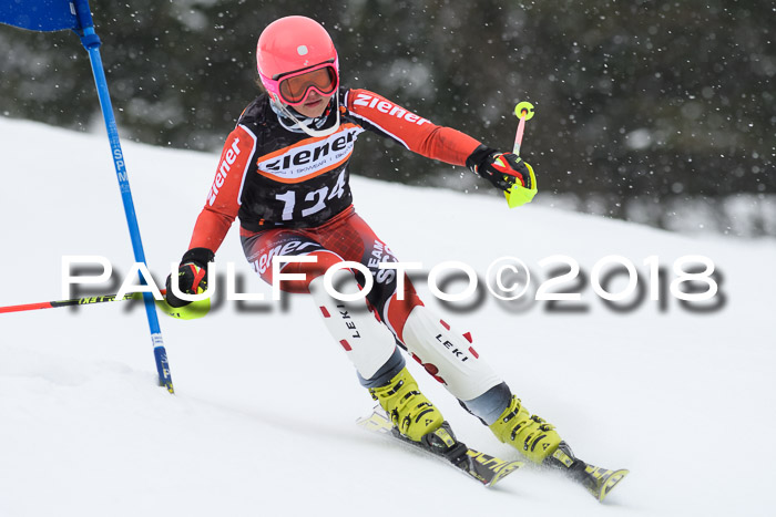 4. Ziener Cup WF, 25.02.2018