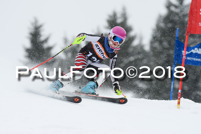 4. Ziener Cup WF, 25.02.2018