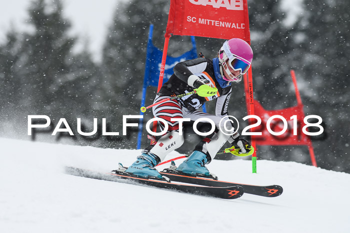 4. Ziener Cup WF, 25.02.2018