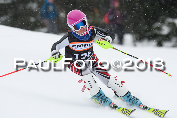 4. Ziener Cup WF, 25.02.2018