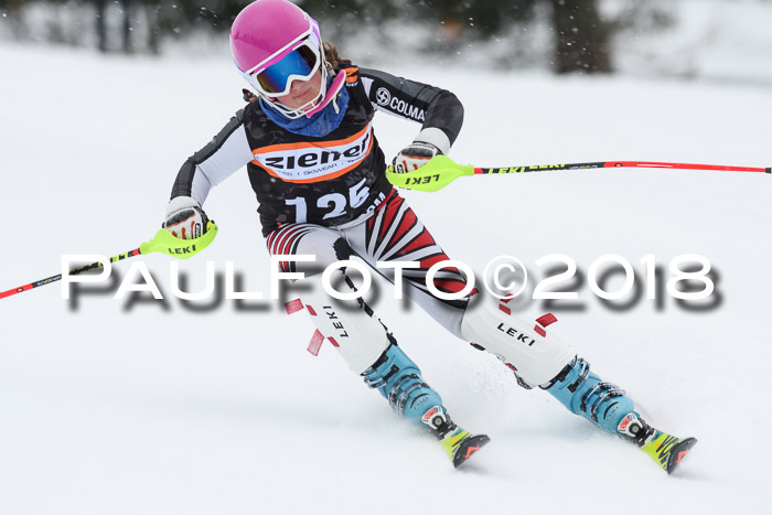 4. Ziener Cup WF, 25.02.2018