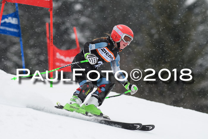 4. Ziener Cup WF, 25.02.2018