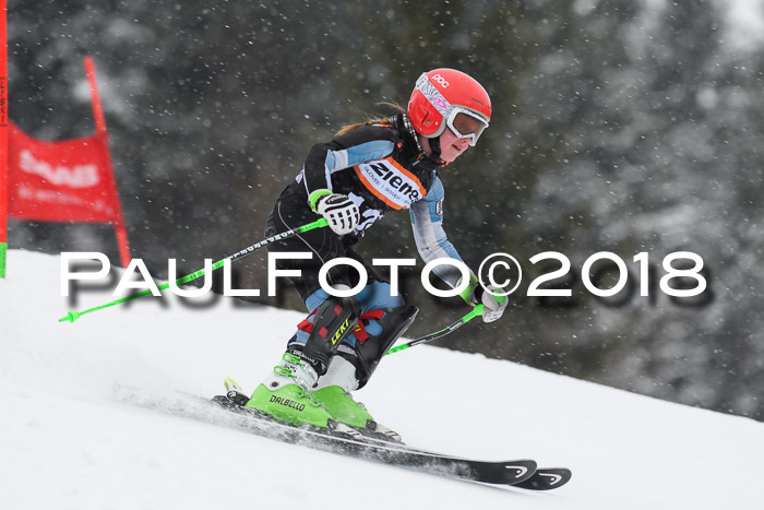 4. Ziener Cup WF, 25.02.2018