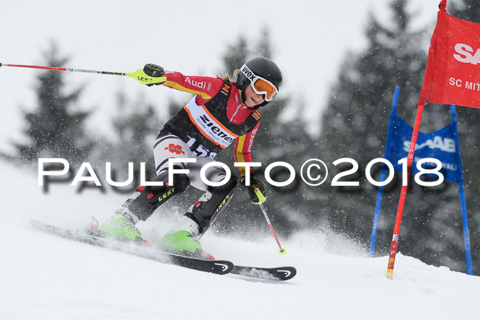 4. Ziener Cup WF, 25.02.2018