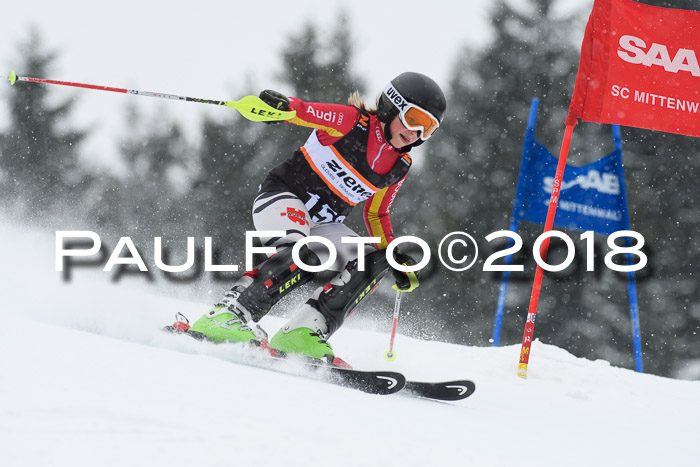 4. Ziener Cup WF, 25.02.2018