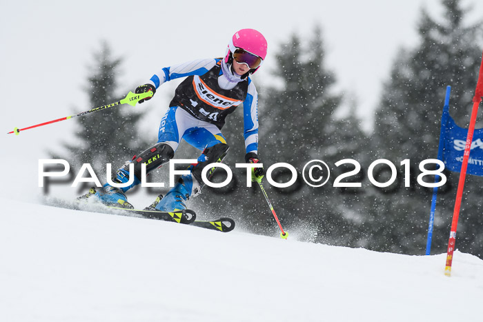 4. Ziener Cup WF, 25.02.2018