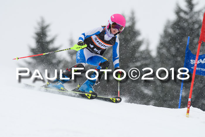4. Ziener Cup WF, 25.02.2018