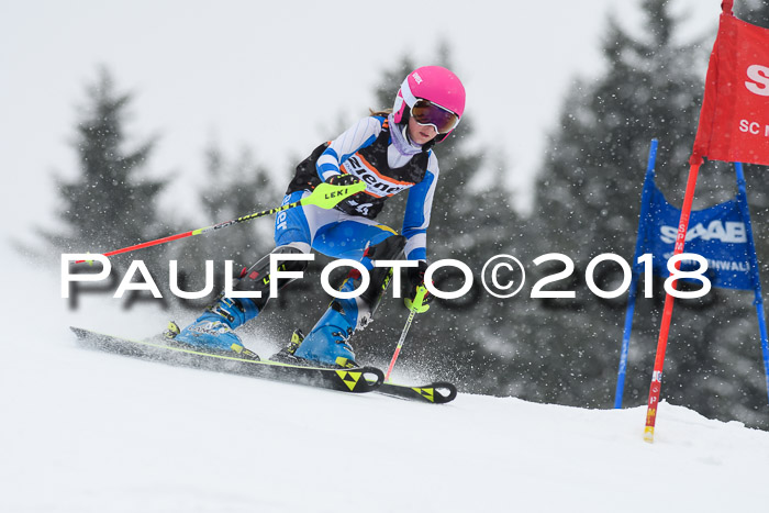 4. Ziener Cup WF, 25.02.2018