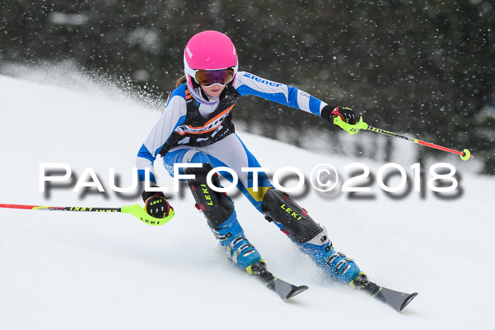 4. Ziener Cup WF, 25.02.2018