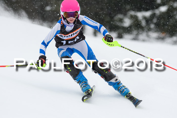 4. Ziener Cup WF, 25.02.2018