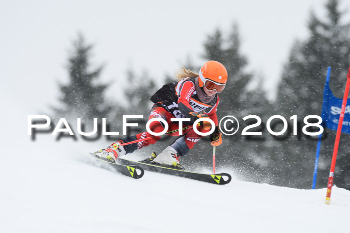 4. Ziener Cup WF, 25.02.2018