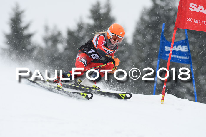4. Ziener Cup WF, 25.02.2018