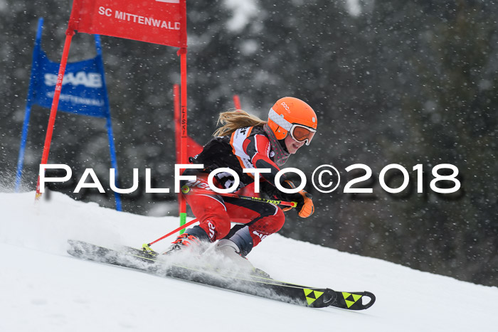 4. Ziener Cup WF, 25.02.2018