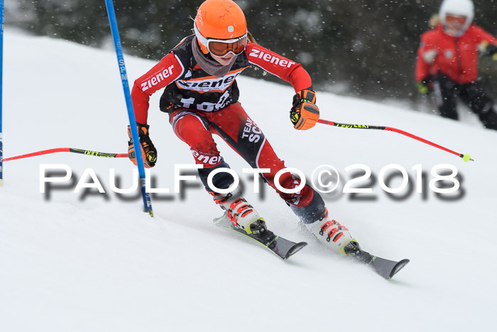 4. Ziener Cup WF, 25.02.2018