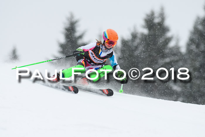 4. Ziener Cup WF, 25.02.2018