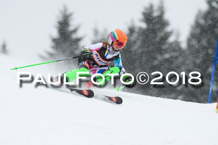 4. Ziener Cup WF, 25.02.2018