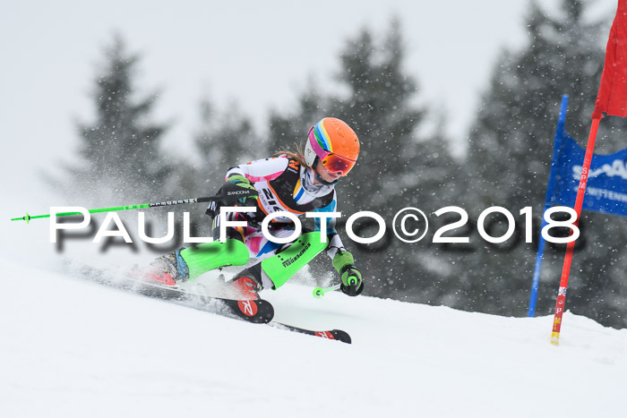 4. Ziener Cup WF, 25.02.2018
