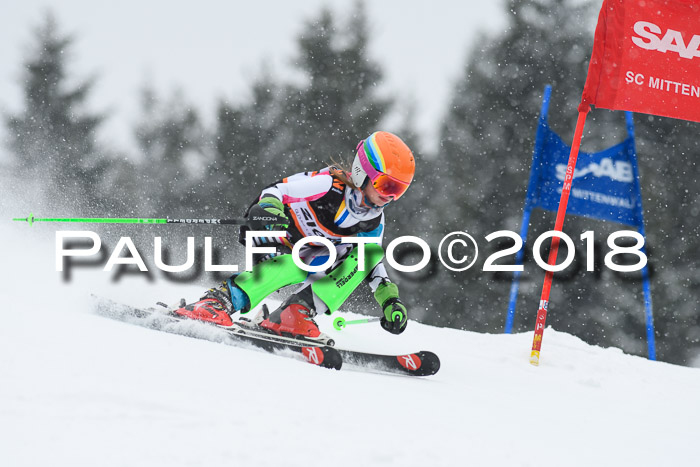 4. Ziener Cup WF, 25.02.2018