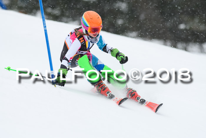 4. Ziener Cup WF, 25.02.2018