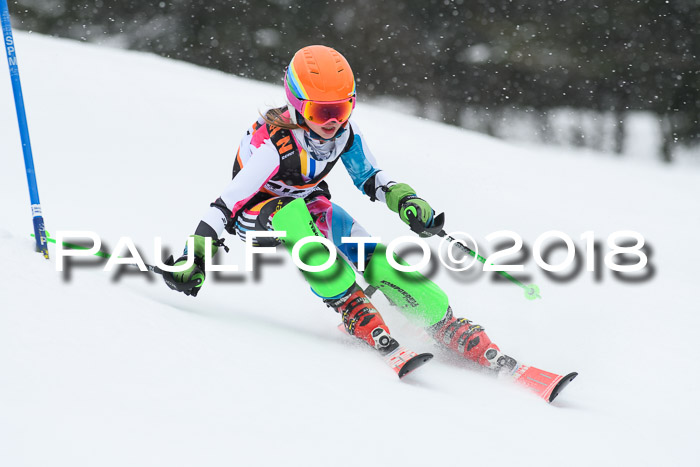 4. Ziener Cup WF, 25.02.2018