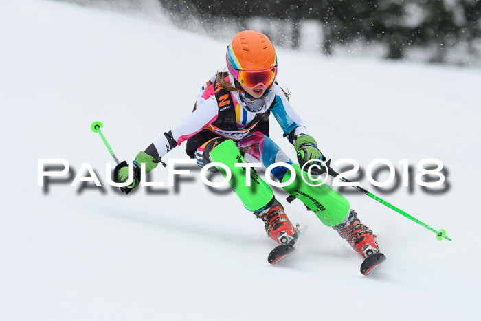 4. Ziener Cup WF, 25.02.2018