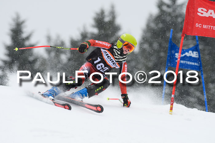 4. Ziener Cup WF, 25.02.2018