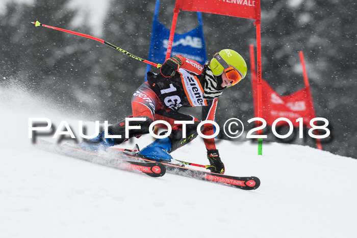 4. Ziener Cup WF, 25.02.2018