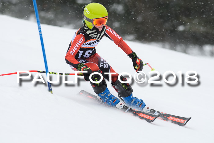 4. Ziener Cup WF, 25.02.2018