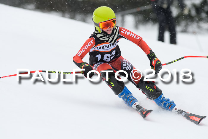 4. Ziener Cup WF, 25.02.2018