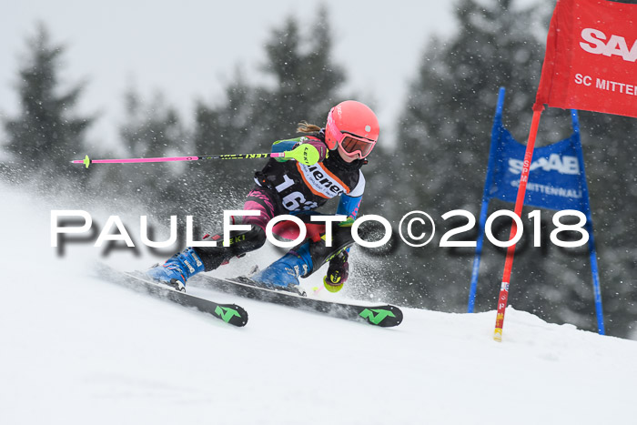 4. Ziener Cup WF, 25.02.2018