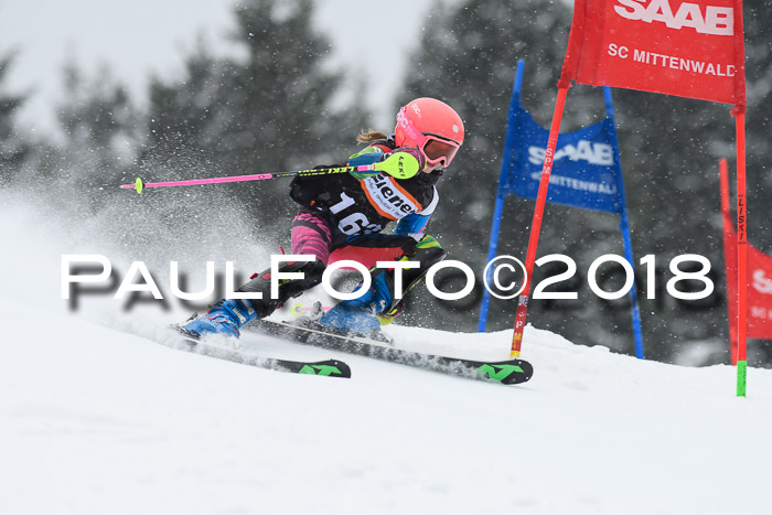 4. Ziener Cup WF, 25.02.2018