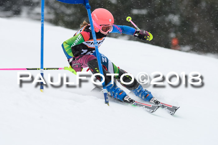 4. Ziener Cup WF, 25.02.2018
