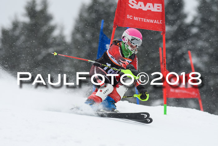 4. Ziener Cup WF, 25.02.2018