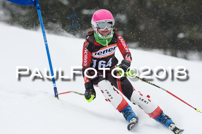 4. Ziener Cup WF, 25.02.2018