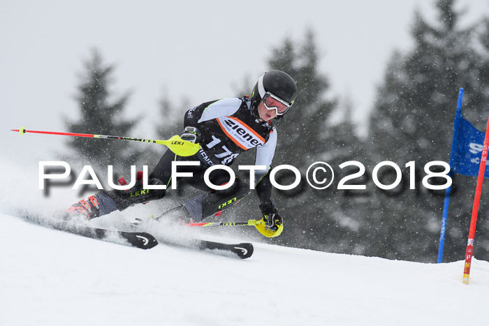 4. Ziener Cup WF, 25.02.2018