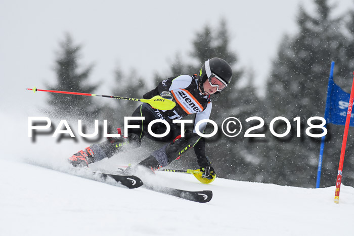 4. Ziener Cup WF, 25.02.2018