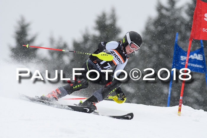 4. Ziener Cup WF, 25.02.2018