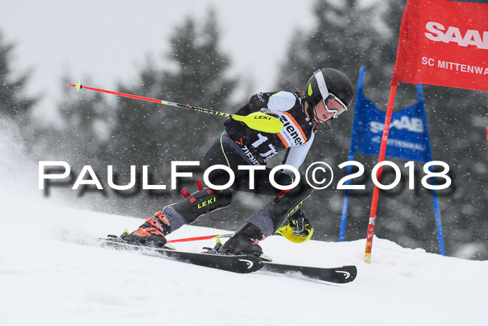 4. Ziener Cup WF, 25.02.2018