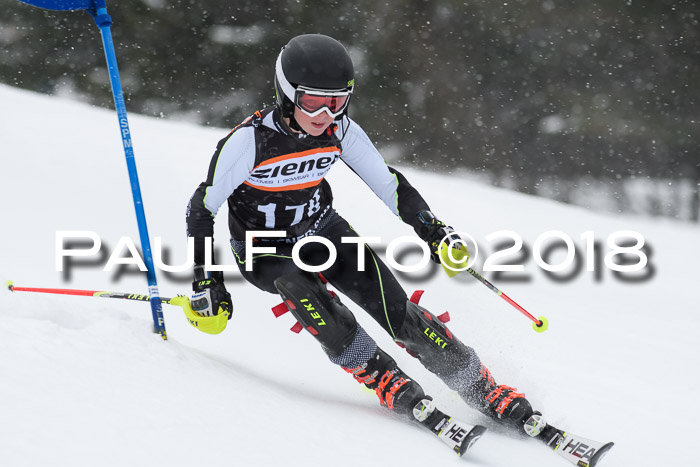4. Ziener Cup WF, 25.02.2018