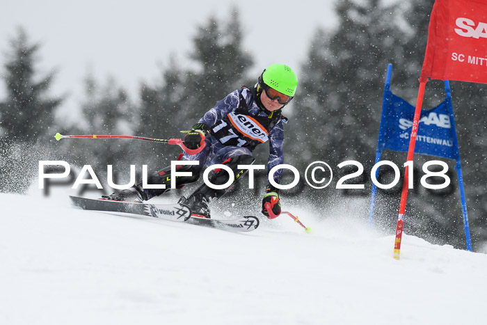 4. Ziener Cup WF, 25.02.2018