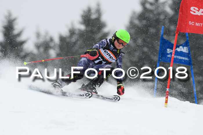 4. Ziener Cup WF, 25.02.2018