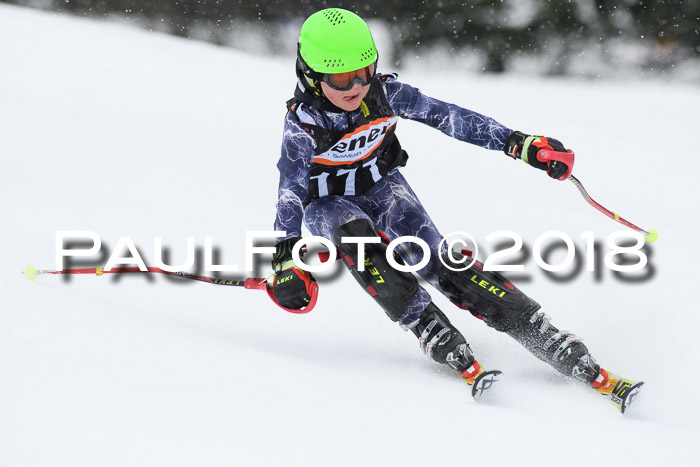 4. Ziener Cup WF, 25.02.2018