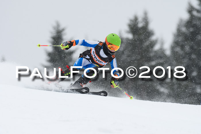 4. Ziener Cup WF, 25.02.2018