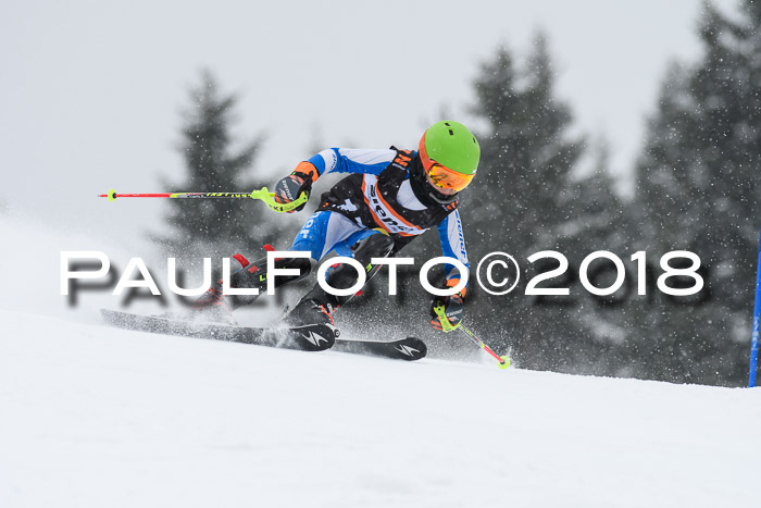4. Ziener Cup WF, 25.02.2018