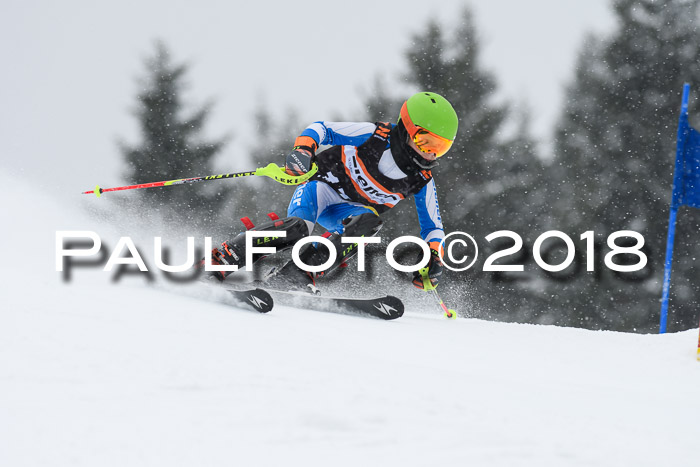 4. Ziener Cup WF, 25.02.2018