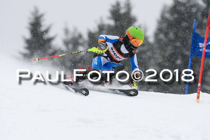 4. Ziener Cup WF, 25.02.2018