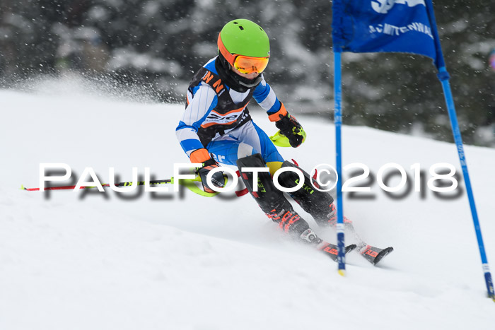 4. Ziener Cup WF, 25.02.2018