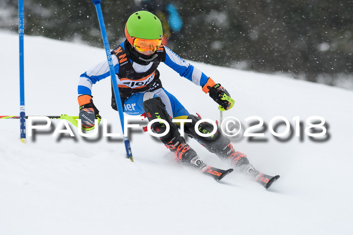 4. Ziener Cup WF, 25.02.2018