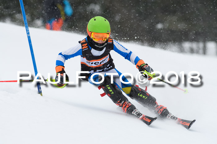 4. Ziener Cup WF, 25.02.2018